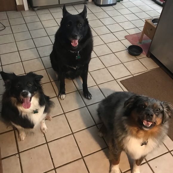 Meet your Posher, Margie - Picture 2 of 2